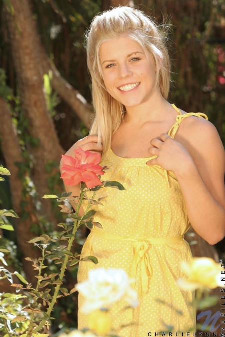 Charlie Lynn